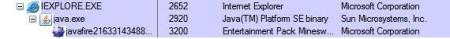 Process Explorer to verify the the IE -> Java -> winmine